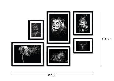 Ingelijste zwart-wit posters dieren jungle safari