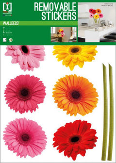 Muursticker Gerbera (set van 6)