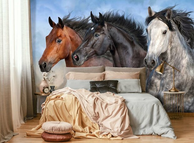 Paarden fotobehang