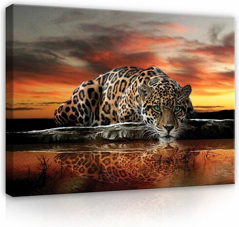 Canvas Schilderij - Jaguar 