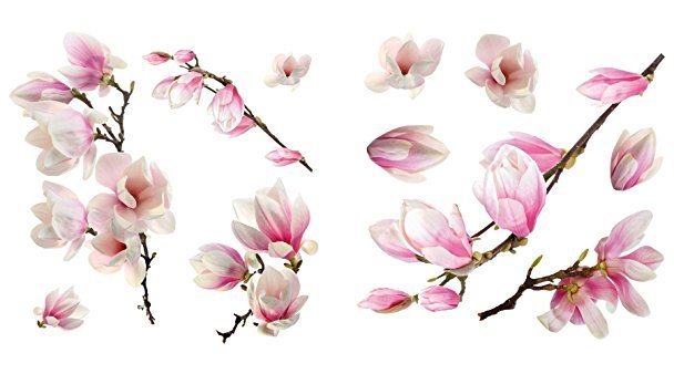 Raamsticker Magnolia