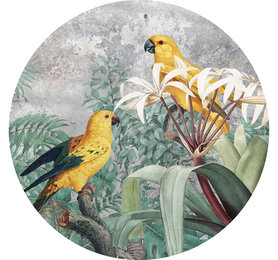 Muurcirkel Jungle Papegaaien – Muursticker & Behangcirkel
