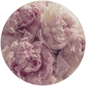 Muurcirkel Bloemen Pioenrozen – Muursticker & Behangcirkel
