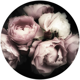 Muurcirkel Bloemen Rozen – Muursticker & Behangcirkel