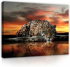 Canvas Schilderij - Jaguar - Zonsondergang - Cheeta  incl. frame (verschillende afmetingen) 