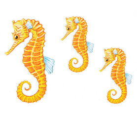 Zeepaardjes (set van 3)